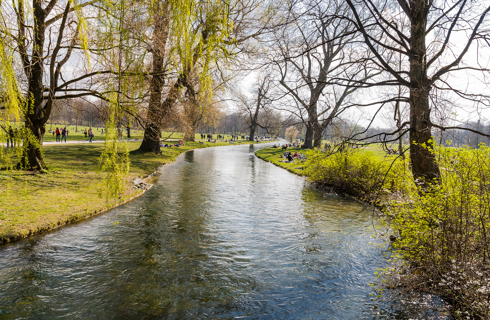 Frühling im Englischen Garten - München