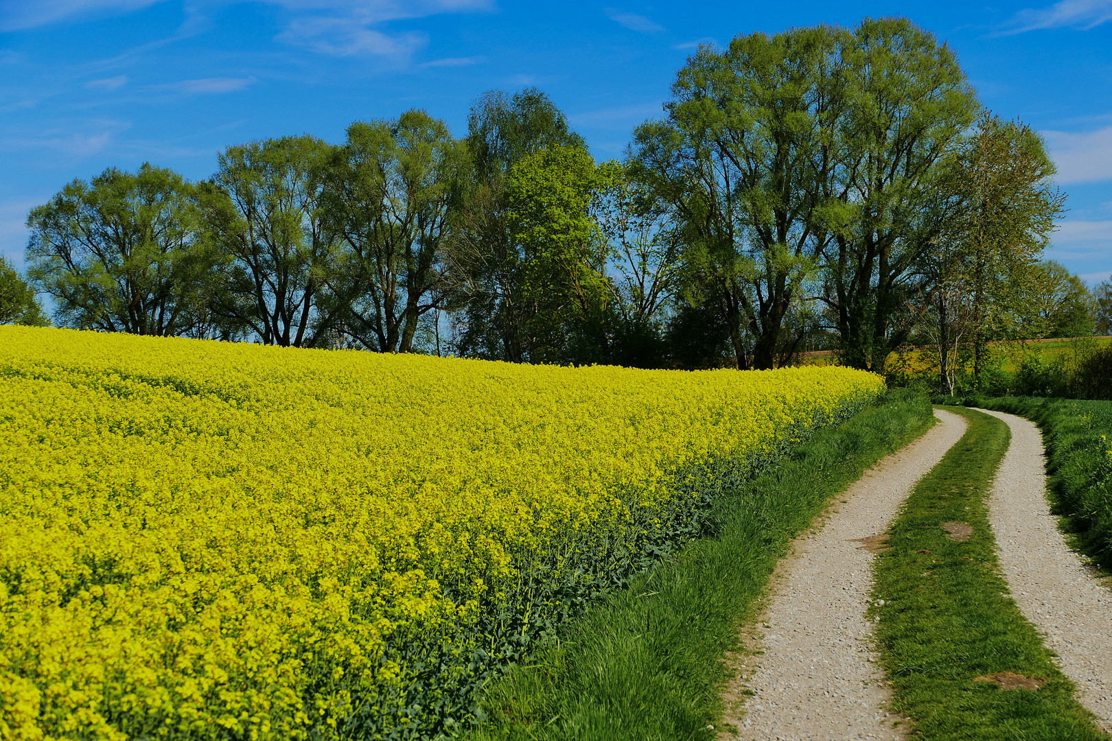 Frühling im Erdinger Land (1)