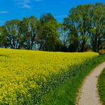 Frühling im Erdinger Land (1)