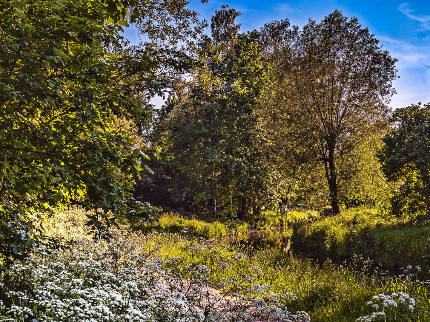 Frühling im Erpetal1