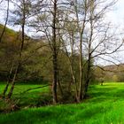 Frühling im Eschweiler Tal bei Bad Münstereifel