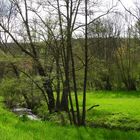 Frühling im Eschweiler Tal bei Bad Münstereifel