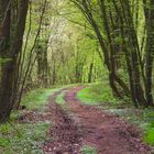 Frühling im Eschweiler Tal bei Bad Münstereifel