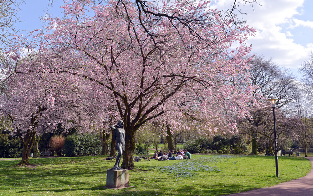 Frühling im Essener Stadtpark