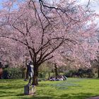 Frühling im Essener Stadtpark