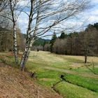 Frühling im Eyachtal, Nordschwarzwald