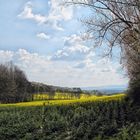 Frühling im Fallstein