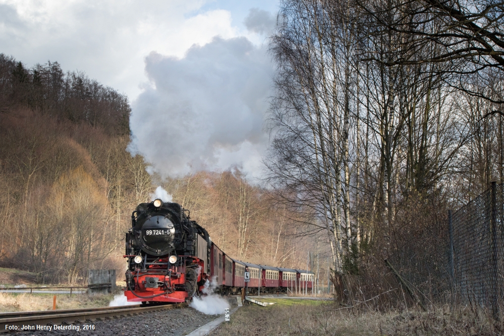 Frühling im Februar