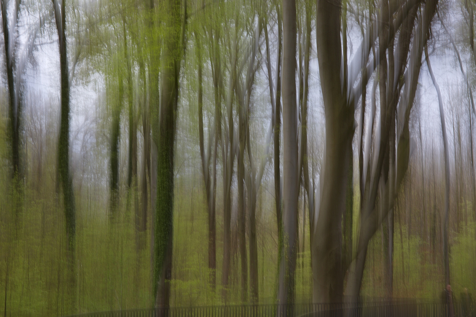 Frühling im Felsenmeer