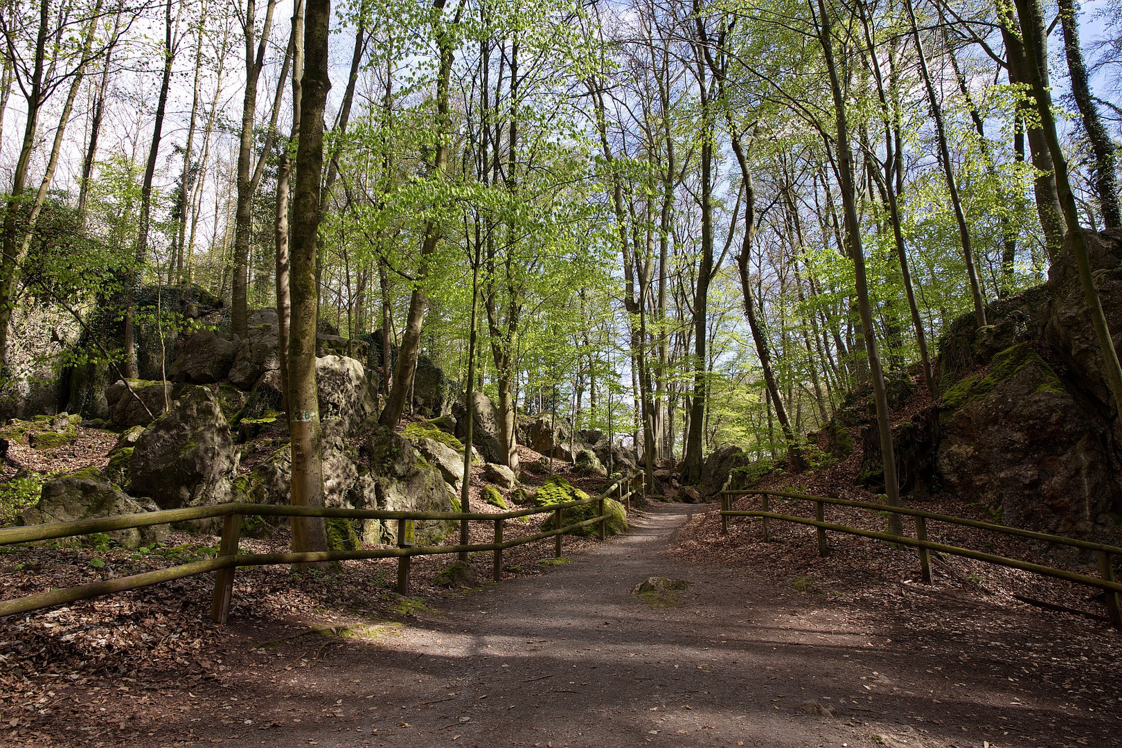 Frühling im Felsenmeer ...