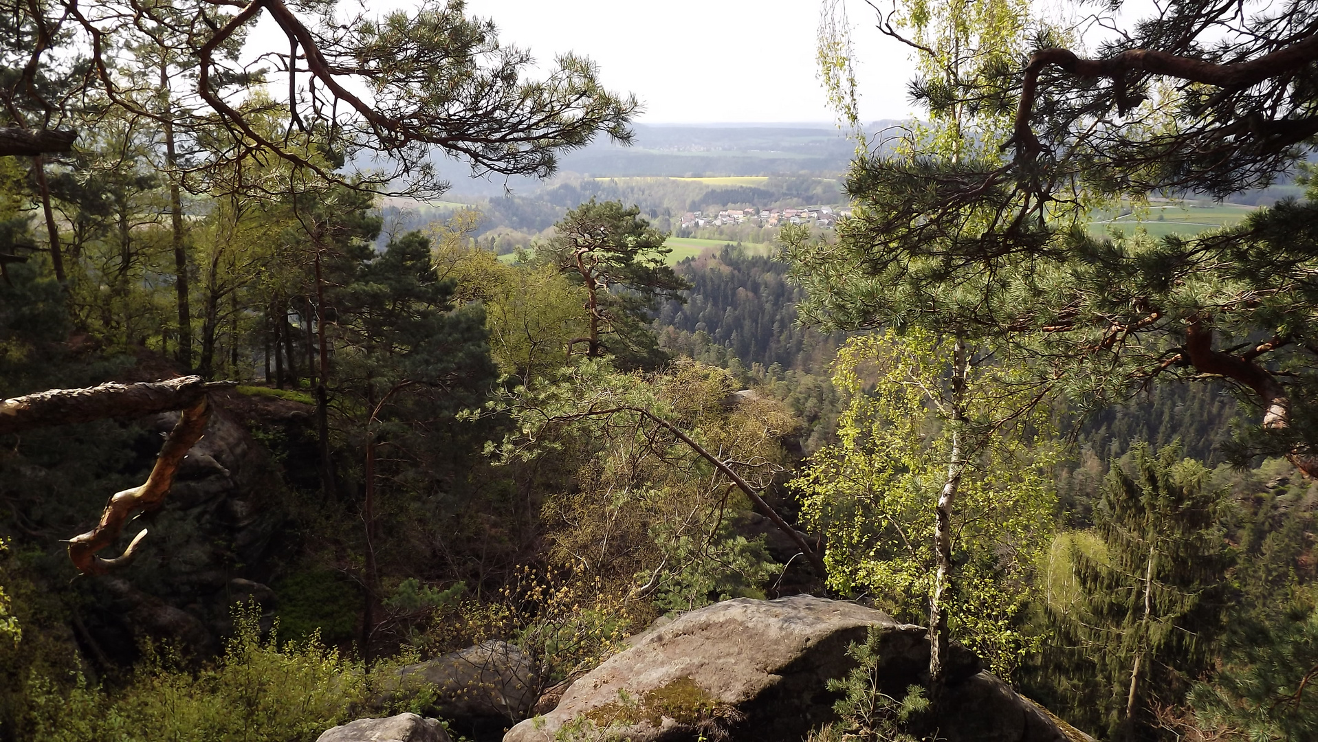 Frühling im Felsrevier