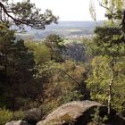 Frühling im Felsrevier