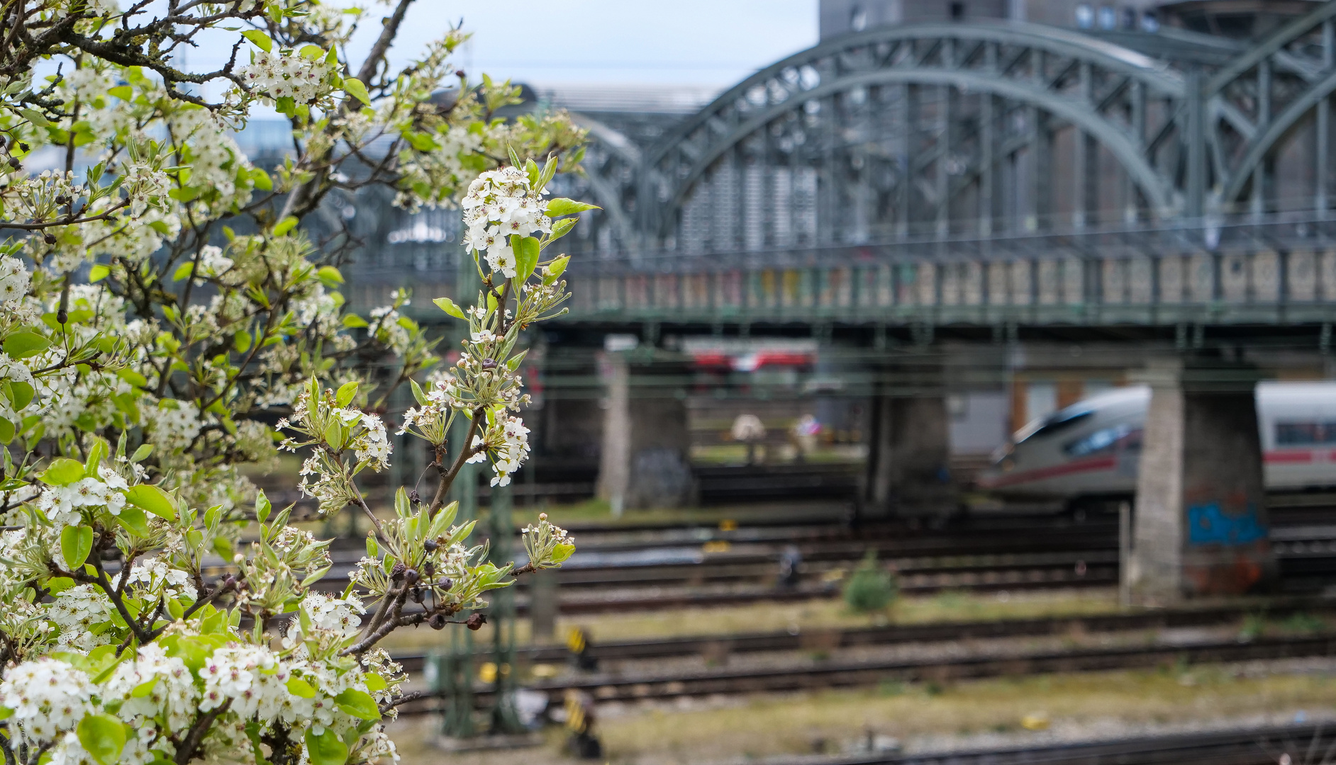 Frühling im Fokus