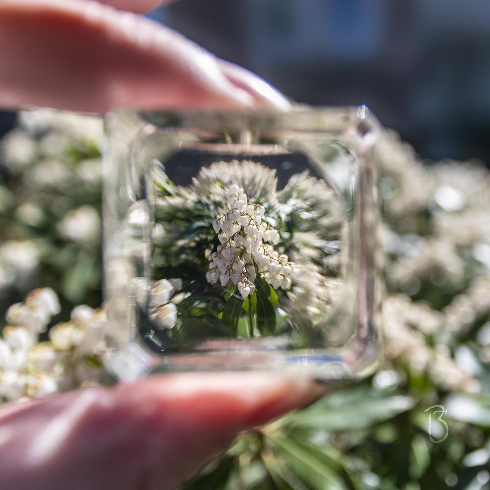 Frühling im Fokus - Die etwas andere Glaskugel. 