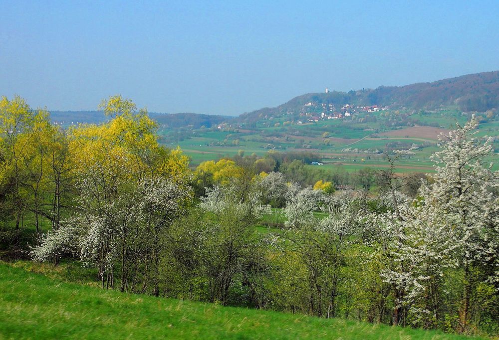 Frühling im Forchheimer Land