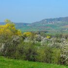 Frühling im Forchheimer Land