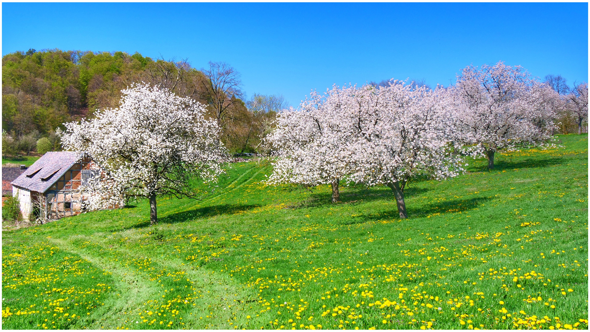 Frühling im Frau Holle Land