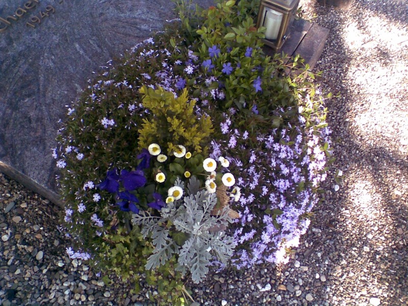 Frühling im fünften Jahr