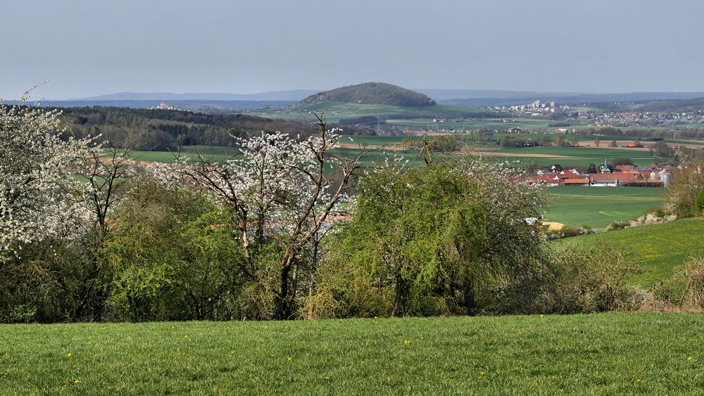 Frühling im Fuldaer-Land