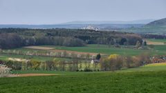 Frühling im Fuldaer-Land