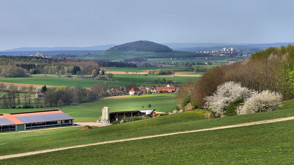 Frühling im Fuldaer-Land