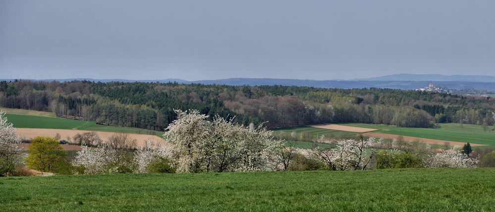 Frühling im Fuldaer-Land