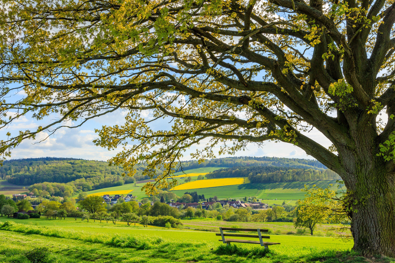 Frühling im Fuldatal