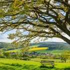 Frühling im Fuldatal