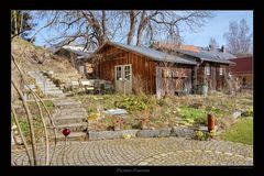 Frühling im Garten