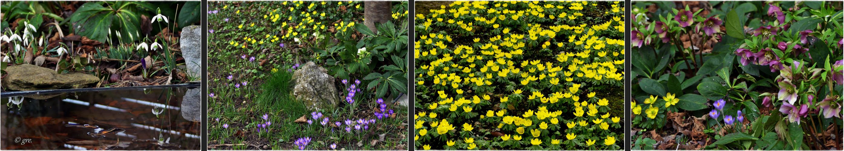 Frühling im Garten 1