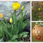 Frühling im Garten...