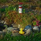 Frühling im Garten 