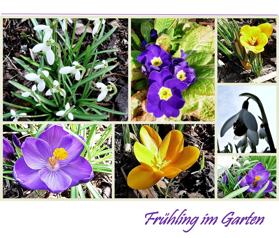 Frühling im Garten