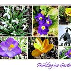 Frühling im Garten