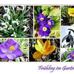 Frühling im Garten