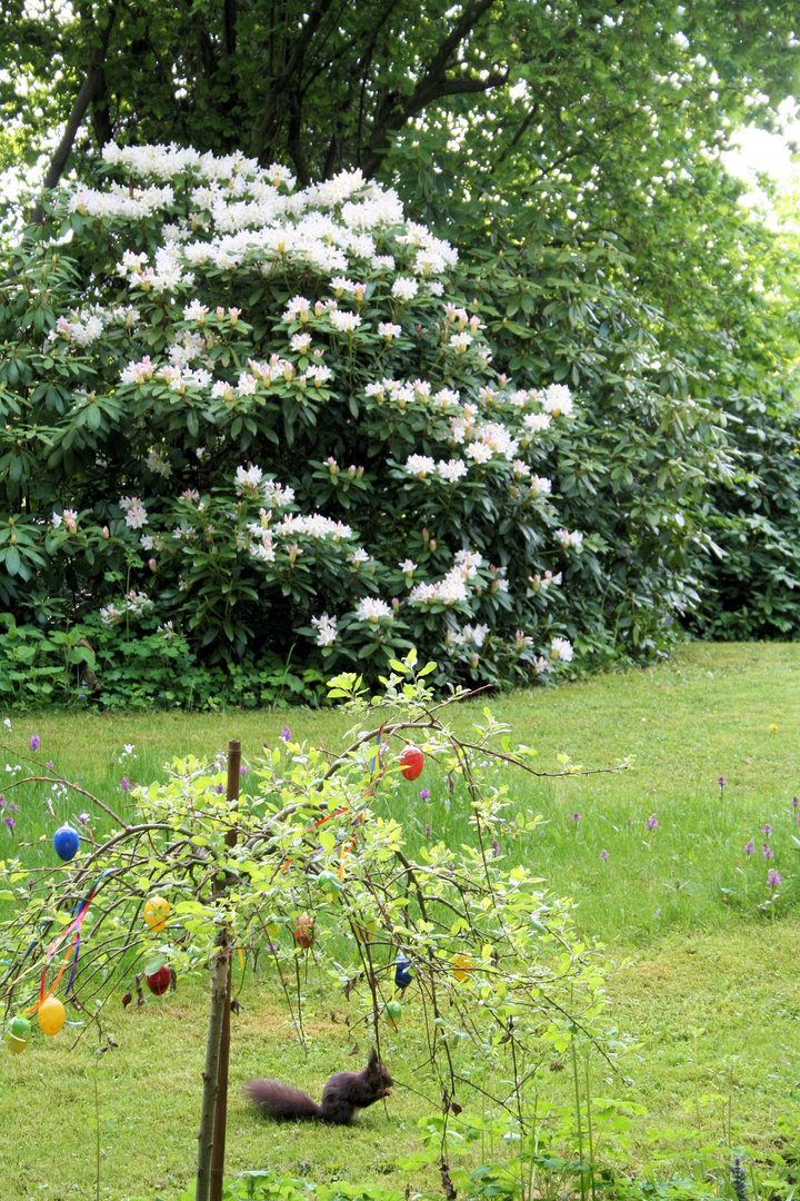 Frühling im Garten