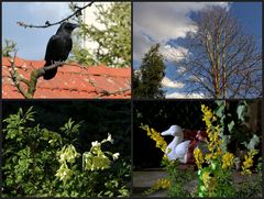 Frühling im Garten