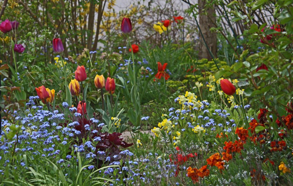 Frühling im Garten