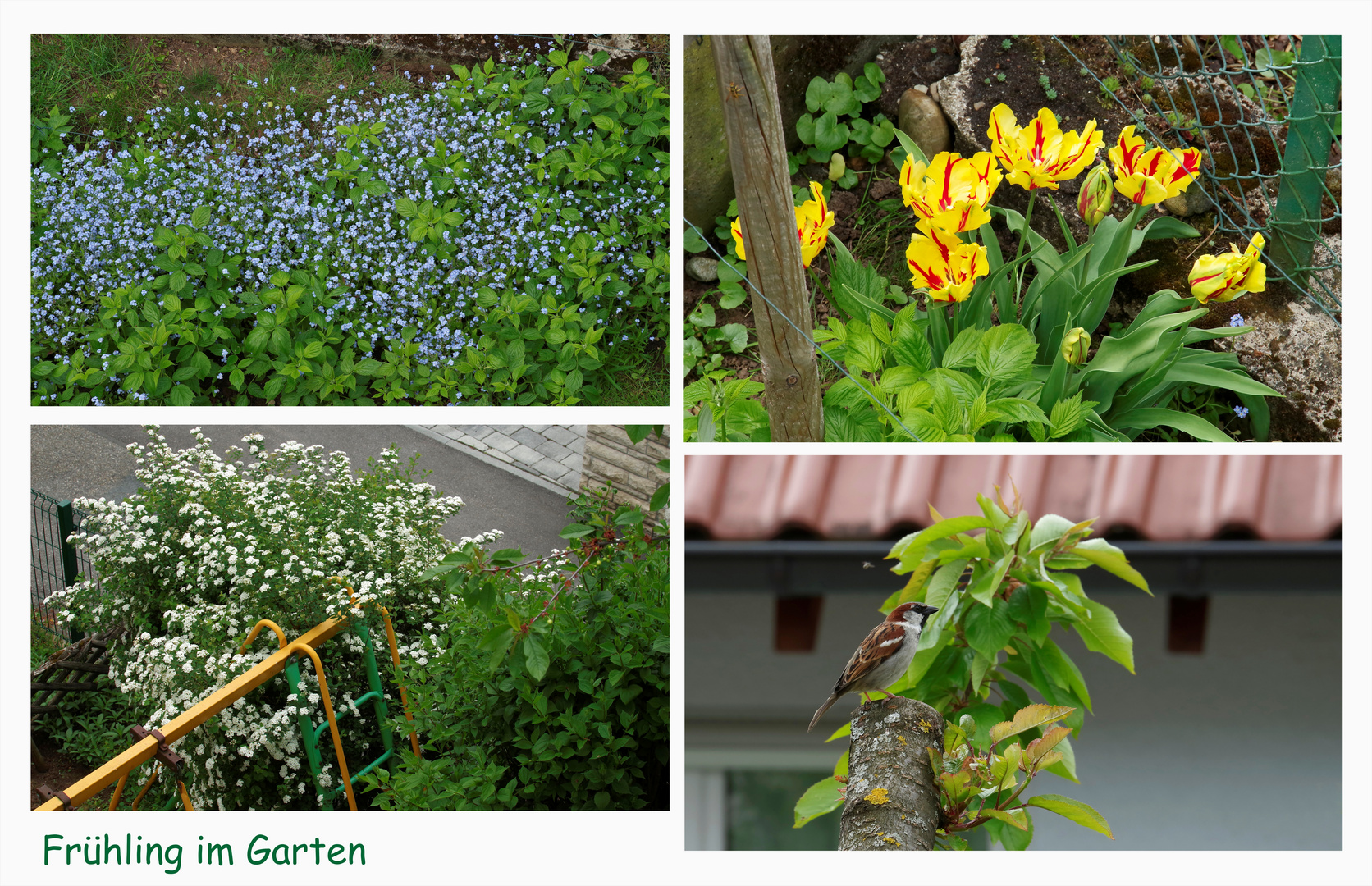 ..Frühling im Garten 