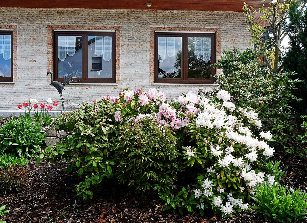 Frühling im Garten - Spiegeltag