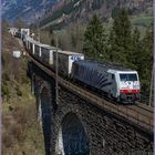 Frühling im Gasteinertal I