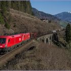 Frühling im Gasteinertal II