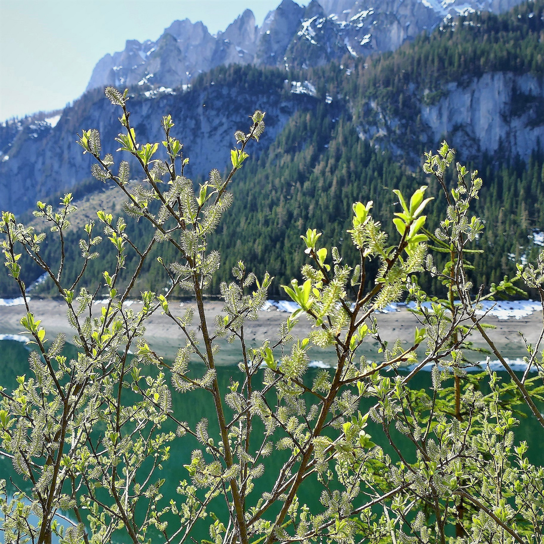 Frühling im Gebirge 2