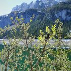 Frühling im Gebirge 2