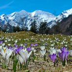 Frühling im Gebirge