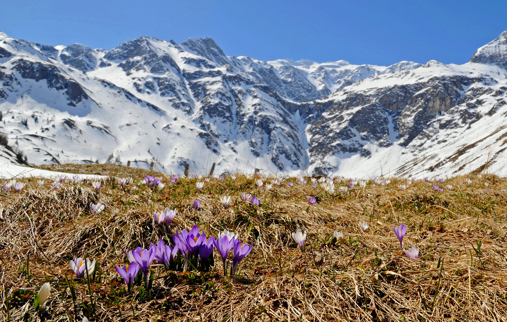 Frühling im Gebirge