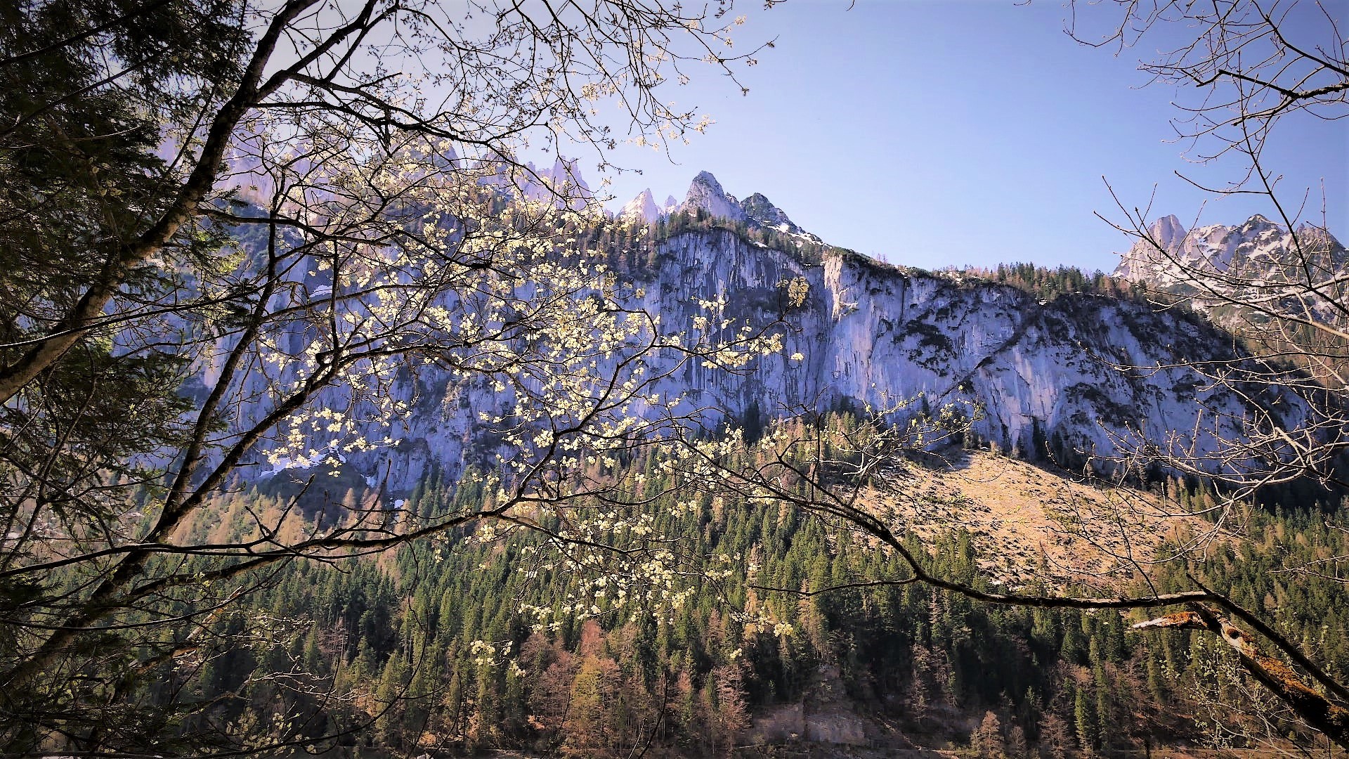 Frühling im Gebirge