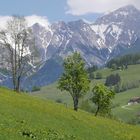 Frühling im Gebirge