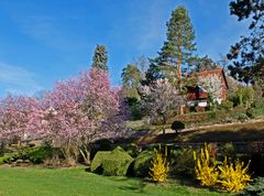 Frühling im Gengenbacher Stadtpark Schneckenmatt