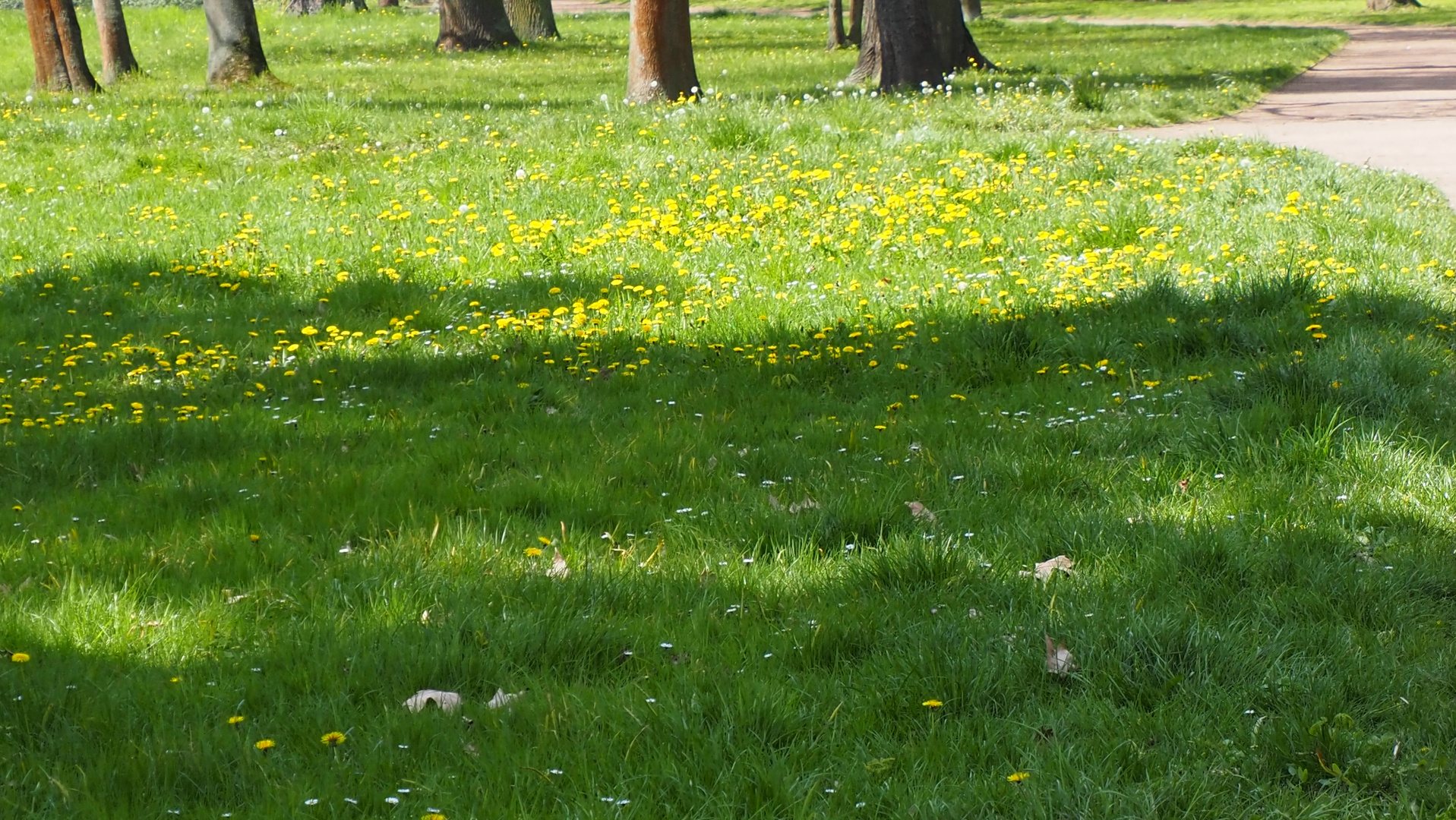 Frühling im Goethepark, Bad Lauchstädt